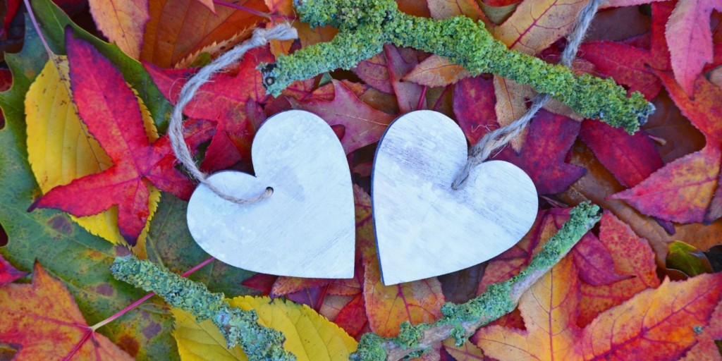 Twee witte hartjes op kleurige potpourri