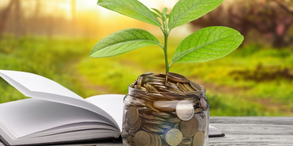 Plantje groeit uit een glazen pot gevuld met muntstukken