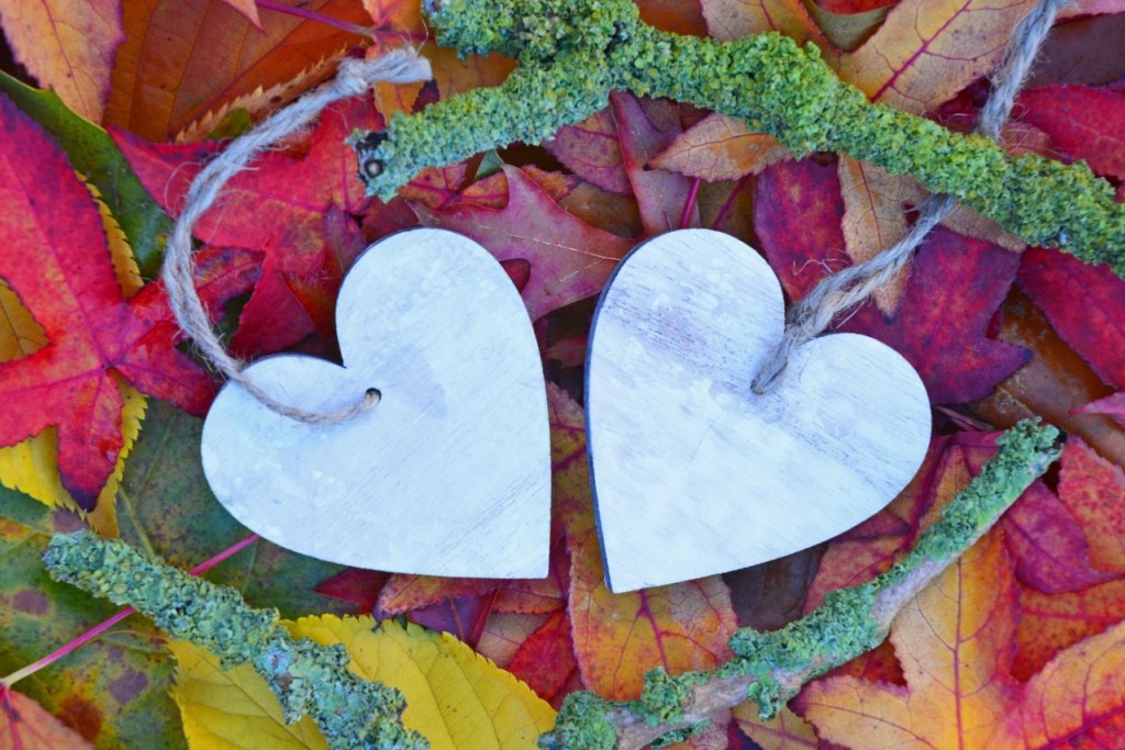 Twee witte hartjes op kleurige potpourri